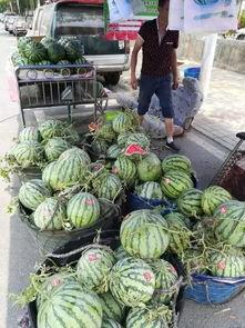 郫县网红吃瓜事件视频,一场网络狂欢背后的真相揭秘