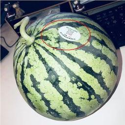 网红视频吃瓜最新,揭秘娱乐圈最新热点事件