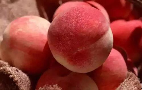 吃瓜和吃桃网红词,网红词汇背后的趣味解读