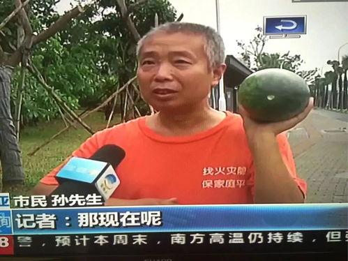 网红热门事件吃瓜网,吃瓜网带你一探究竟