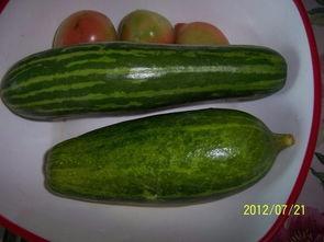 爆大瓜的网红吃的什么,揭秘她所品尝的神秘美食